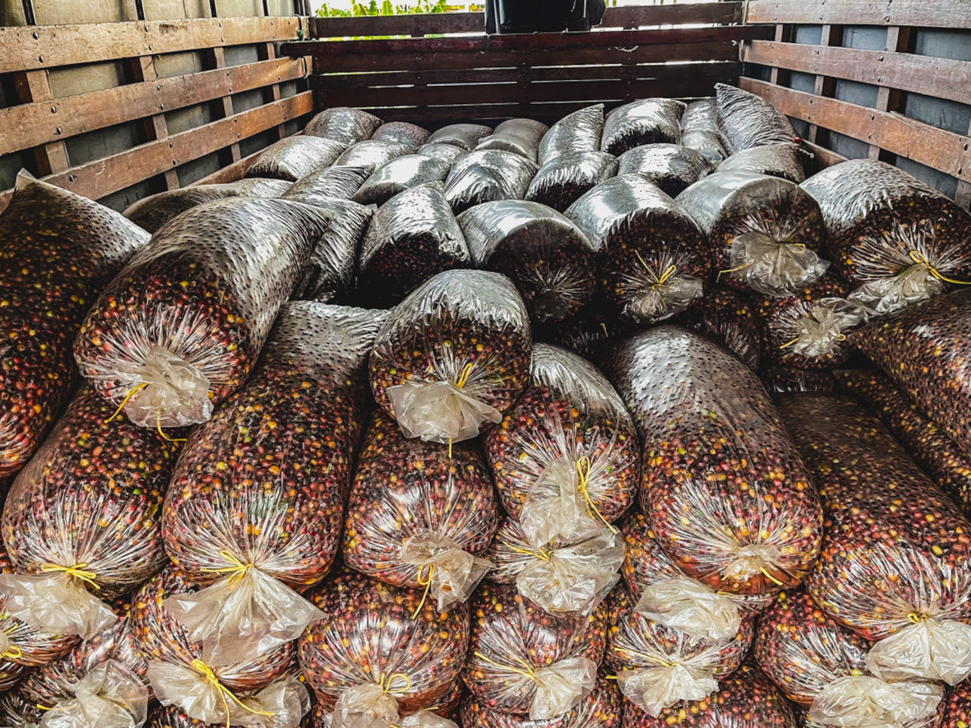 What does anaerobic fermentation actually mean on a coffee bag? Loom Coffee Co. breaks down the science behind the label and what shapes your cup.