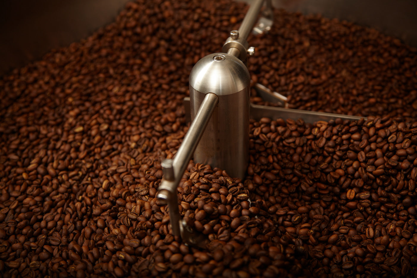 Why does fresh roasted coffee need to rest before brewing? Learn about coffee degassing, how long to wait after roasting, and when flavor peaks.