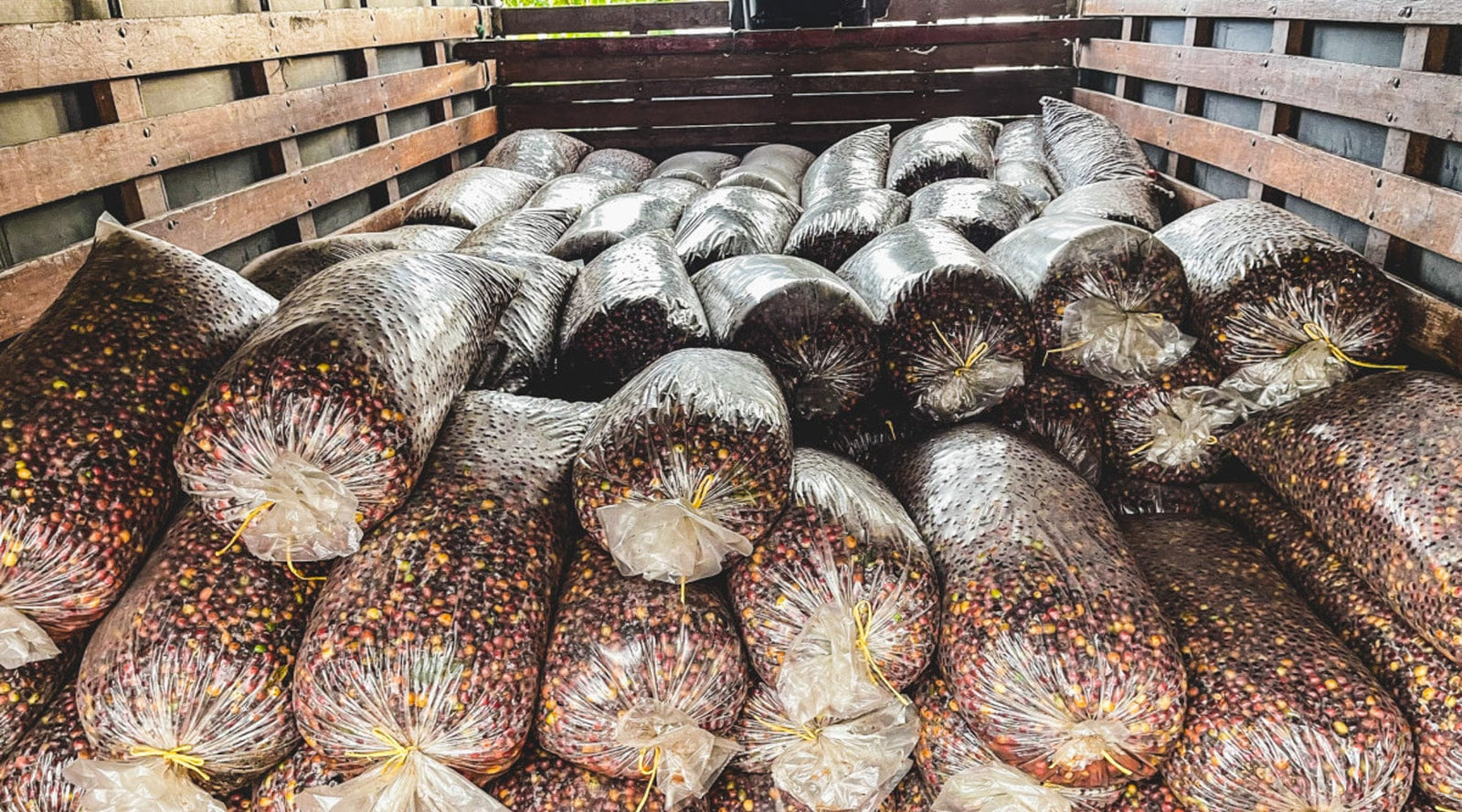 Loom Coffee Co. - Greensboro NC Worker-Owned Specialty Coffee Roastery