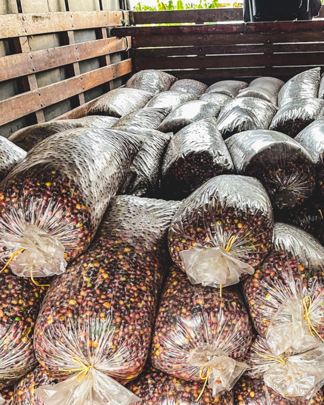 Loom Coffee Co. - Greensboro NC Worker-Owned Specialty Coffee Roastery