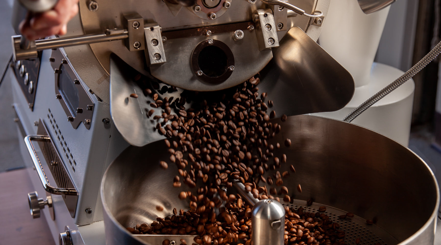 Coffee beans dropping from the drum roaster into the cooling tray during a production roast at Loom Coffee Co.