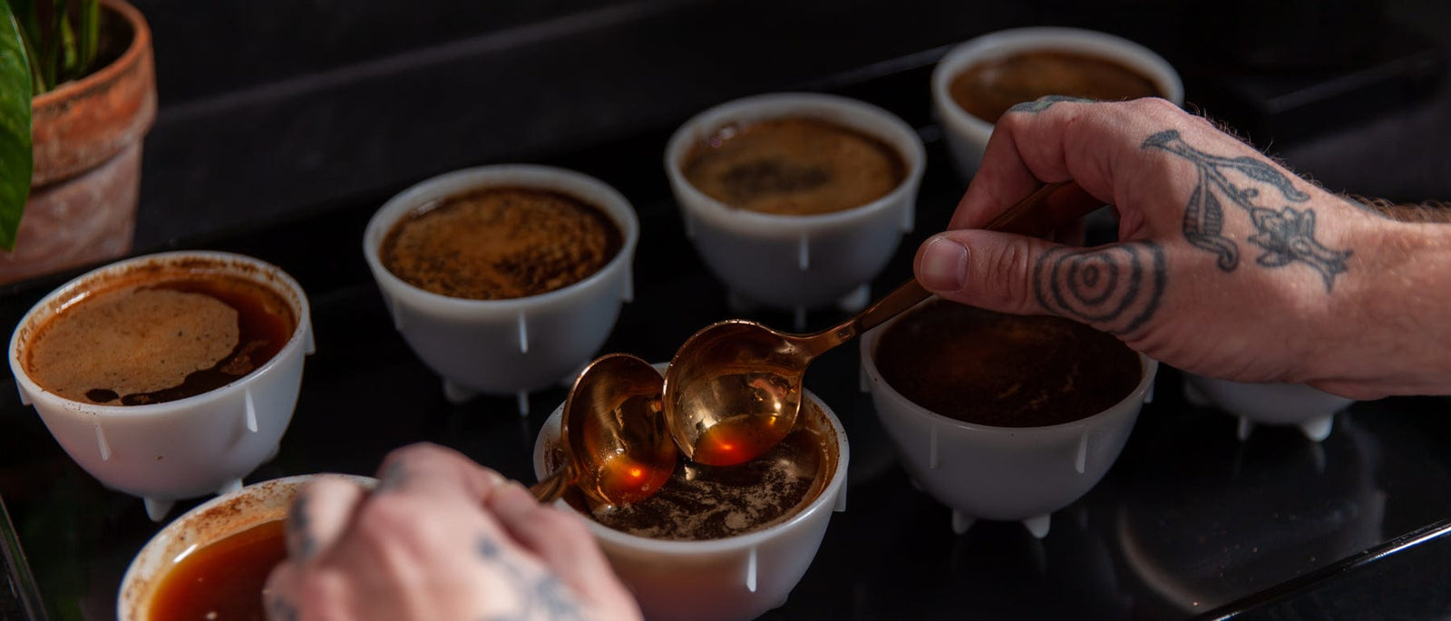 Loom Coffee Co. - About Us