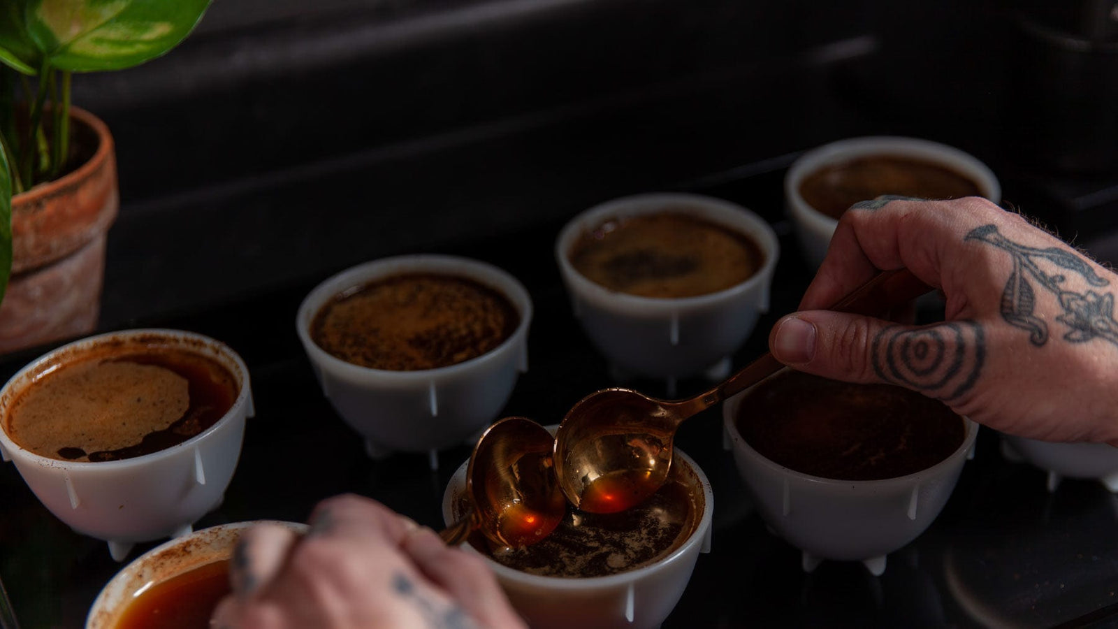 Loom Coffee Co. - Newsletter Signup