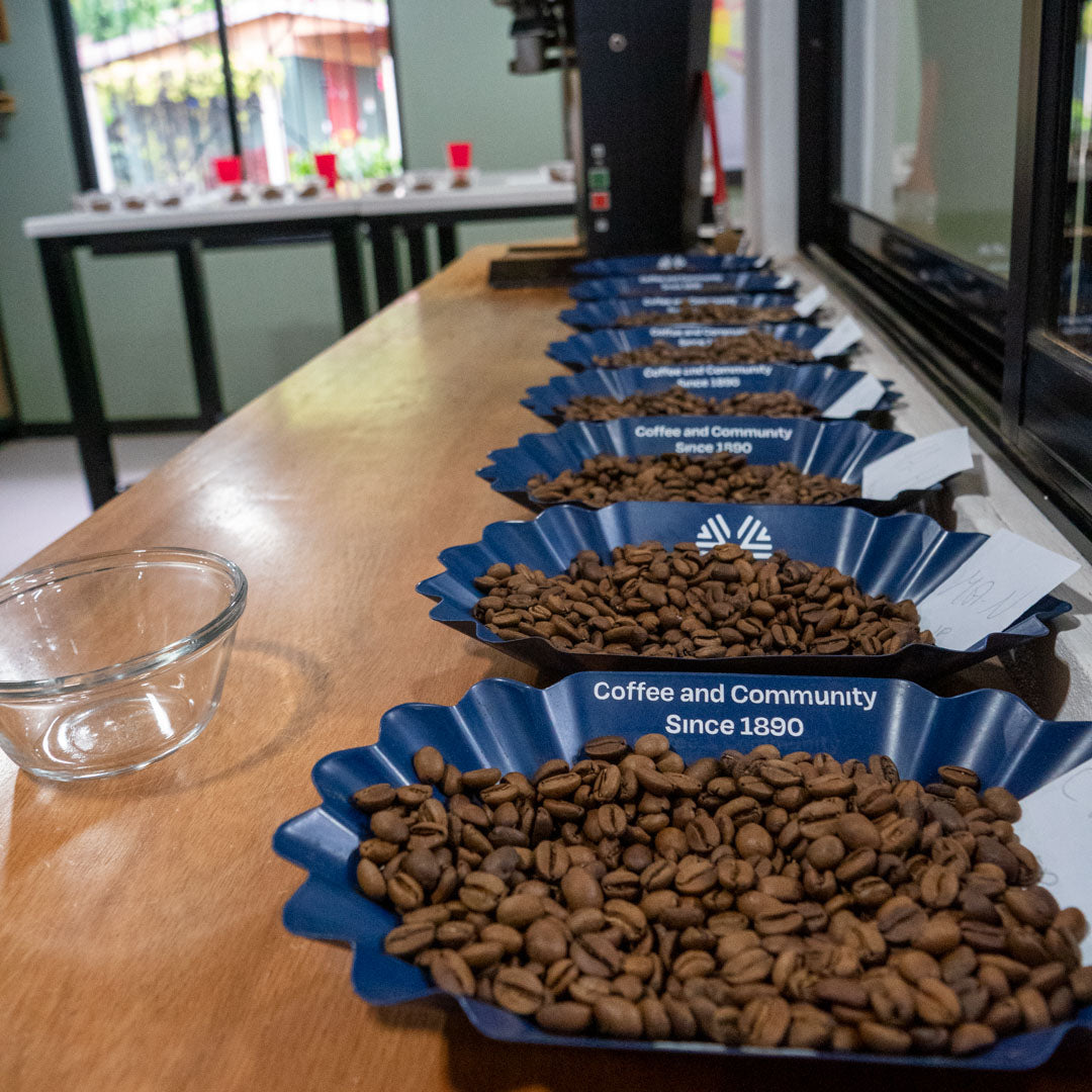Shown are several samples of coffee in the quality control lab at Aquiares Estate. The coffees sit in special trays labeled "Coffee and Community since 1980".
