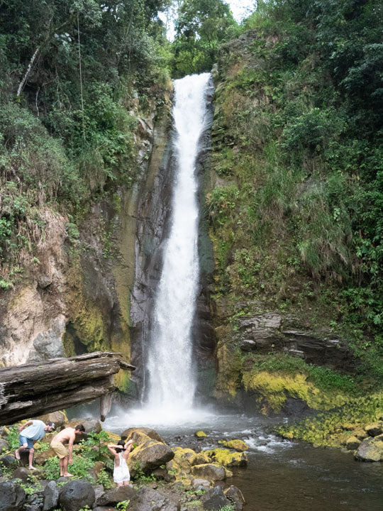 A view of the Aquiares waterfall in Turrialba, Costa Rica