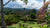 A panoramic view of Aquiares Estate, in Turrialba, Costa Rica. Tropical flowers frame the composition, and the coffee farm's milling facility and trademark Ceiba tree can be seen in the distance.