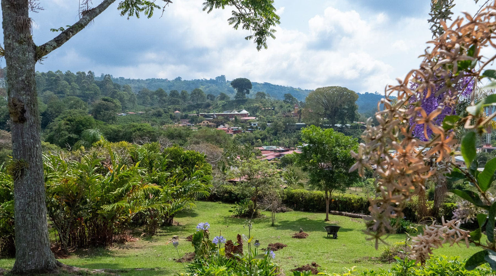 Aquiares Estate Centroamericano