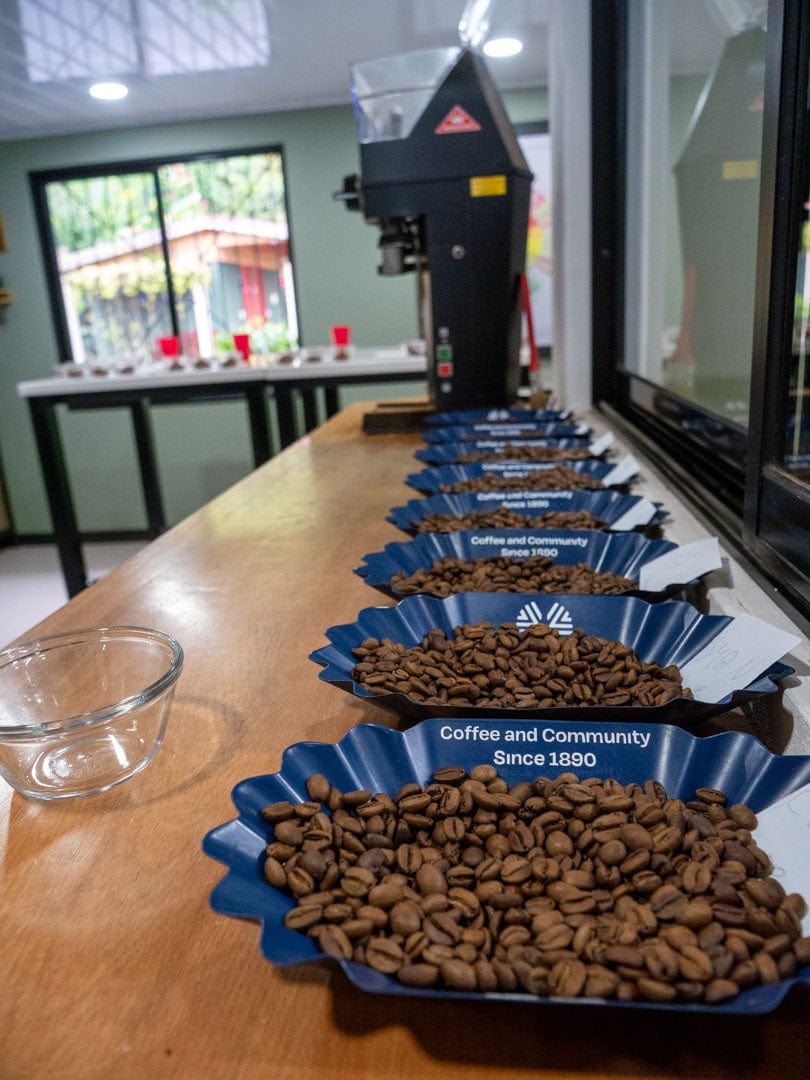 Aquiares Estate Centroamericano