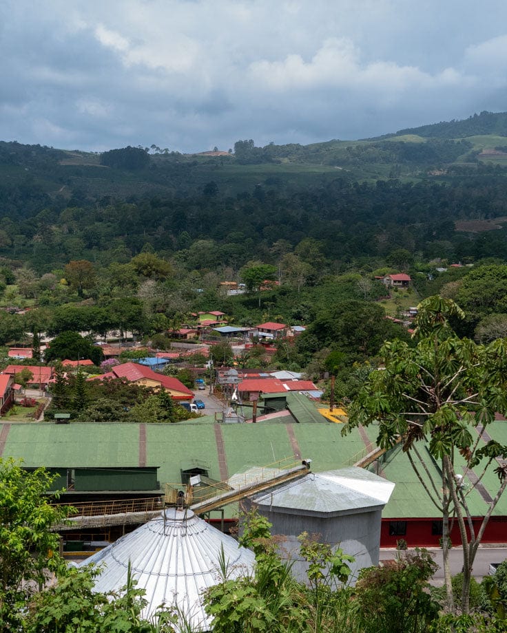 The Road to Aquiares: The Roots of Our Roasts in Costa Rica