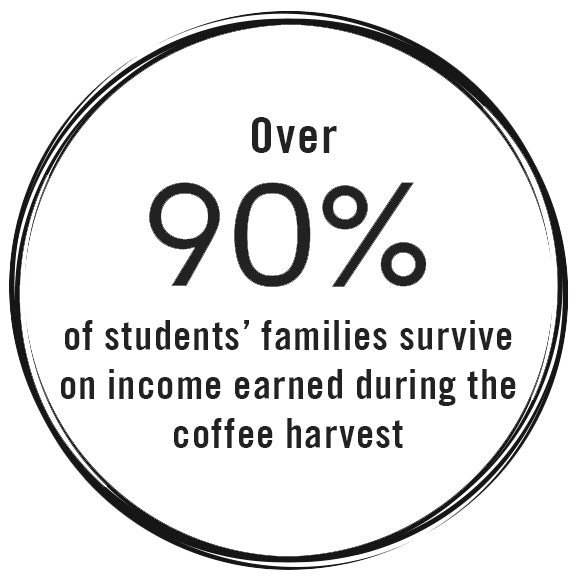 Over 90% of students' families survive on income earned during the coffee harvest. - Educate2Envision
