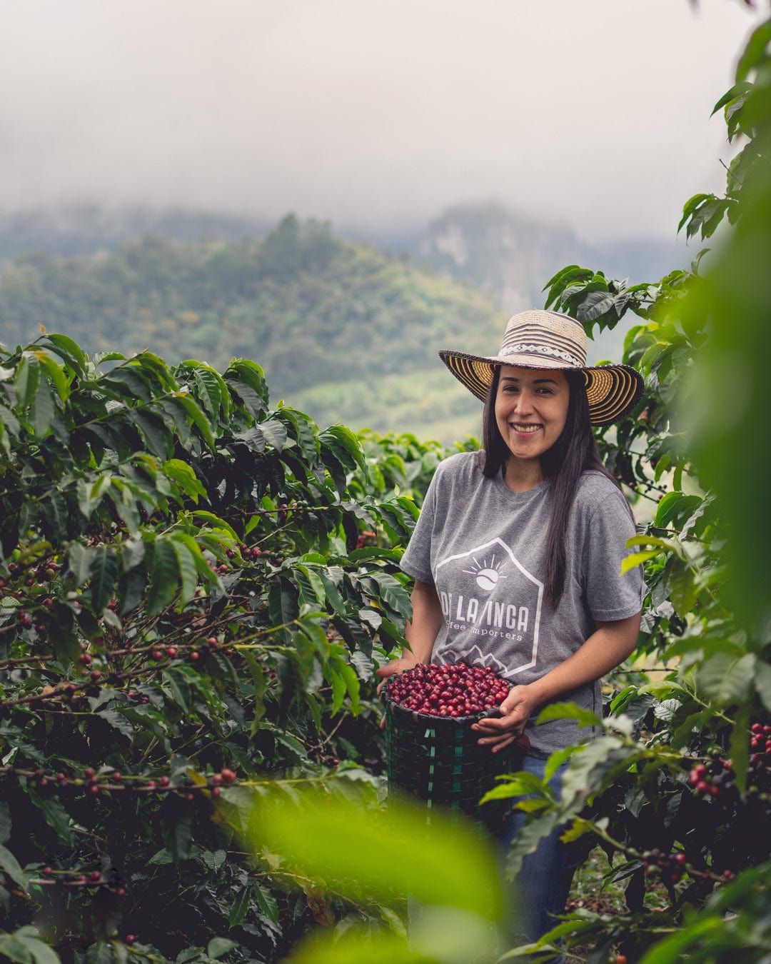 Honduras: Cecilia Quan Natural Parainema - Girl Coffee