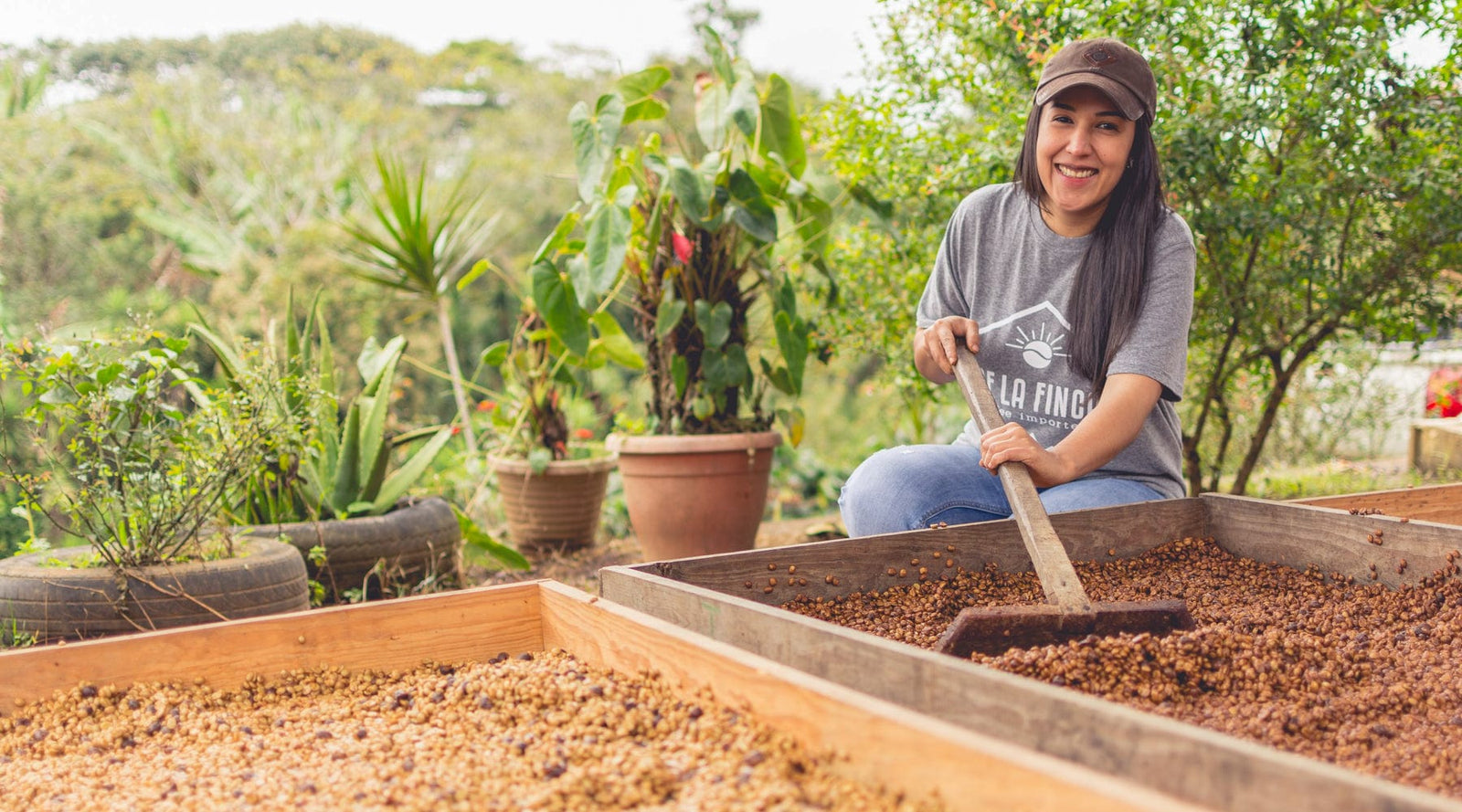 Honduras: Cecilia Quan Natural Parainema - Girl Coffee