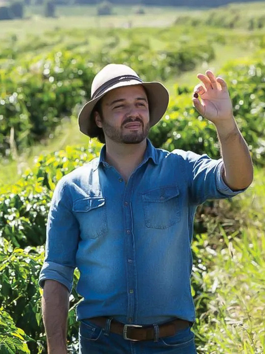 Brazil: Cerrado Paubrasil Natural - Loom Coffee Co.