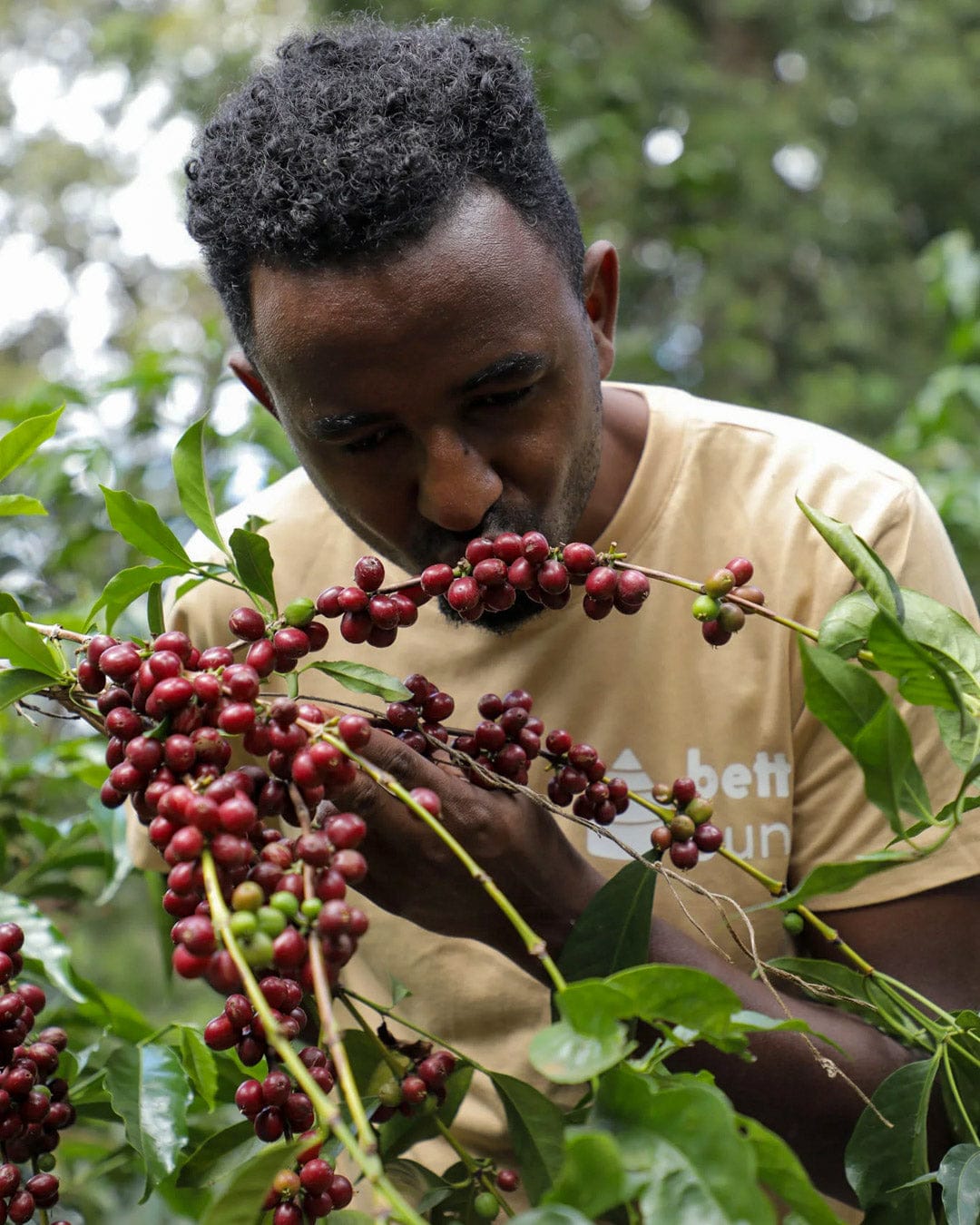 Loom Coffee Co. - Greensboro NC Worker-Owned Specialty Coffee Roastery