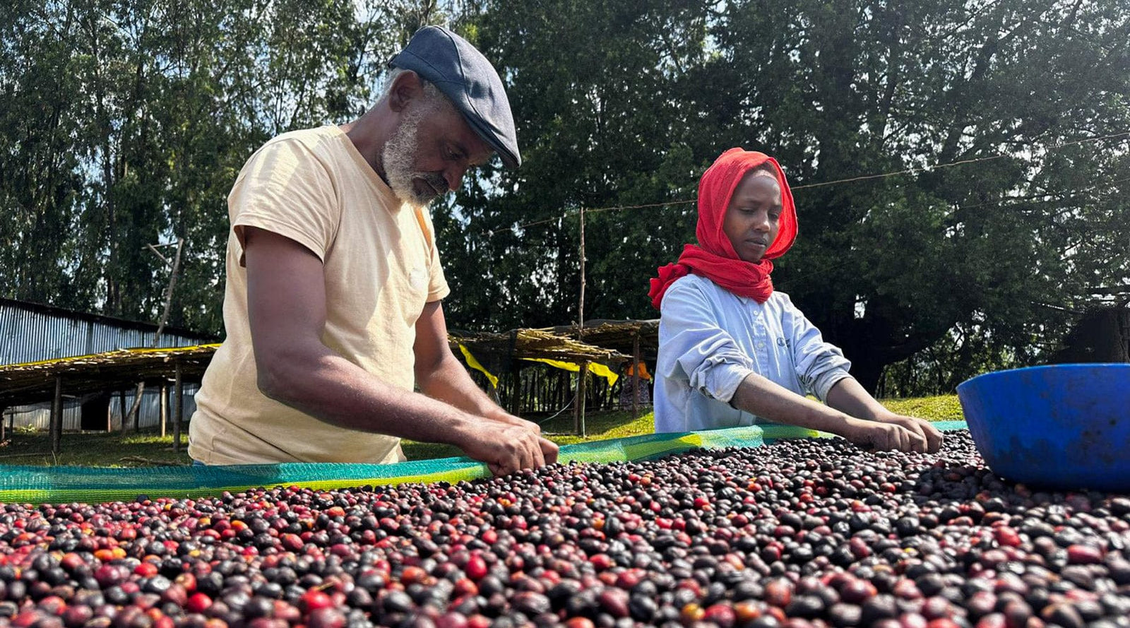 Loom Coffee Co. - Greensboro NC Worker-Owned Specialty Coffee Roastery