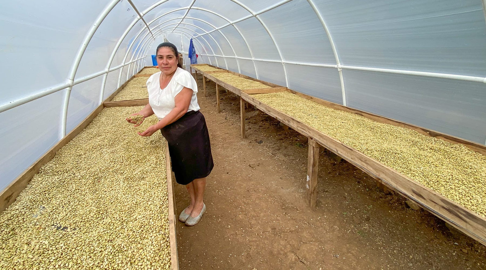 Nicaragua: Diamante Roja Washed - Loom Coffee Co.