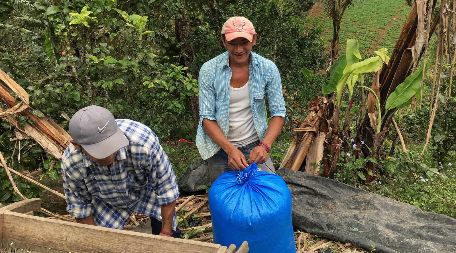 Nicaragua: Blueberry Jelly Maracaturra - Loom Coffee Co.