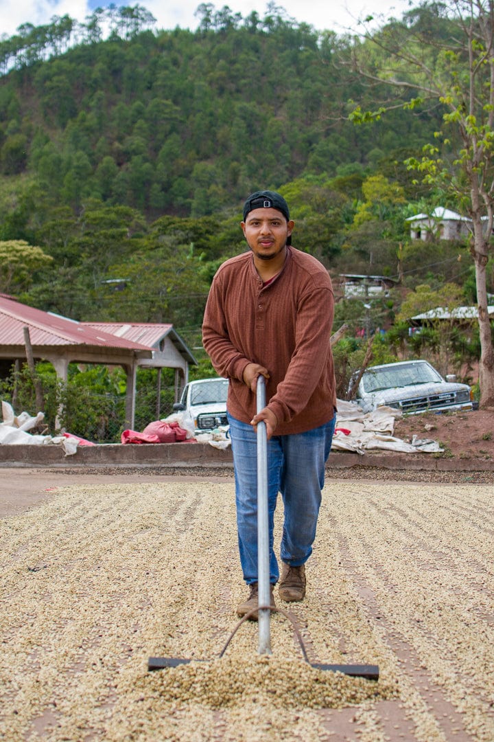 Honduras: De La Finca Marcala- Organic Honey Anaerobic- Loom Coffee Co