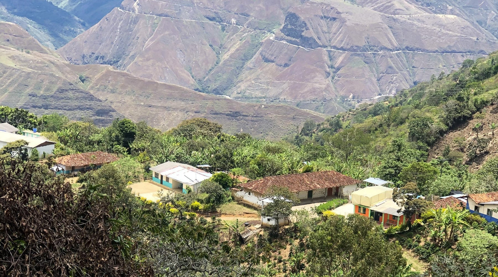 Colombia: Galeras Sugarcane Decaf - Loom Coffee Co