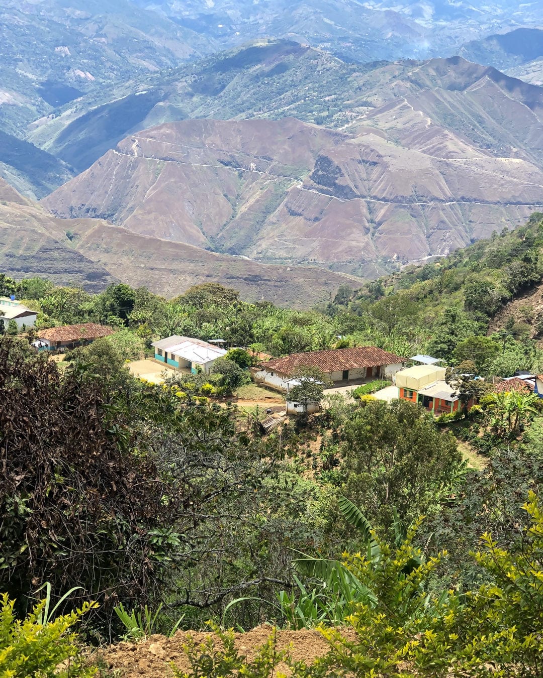 Colombia: Galeras Sugarcane Decaf - Loom Coffee Co