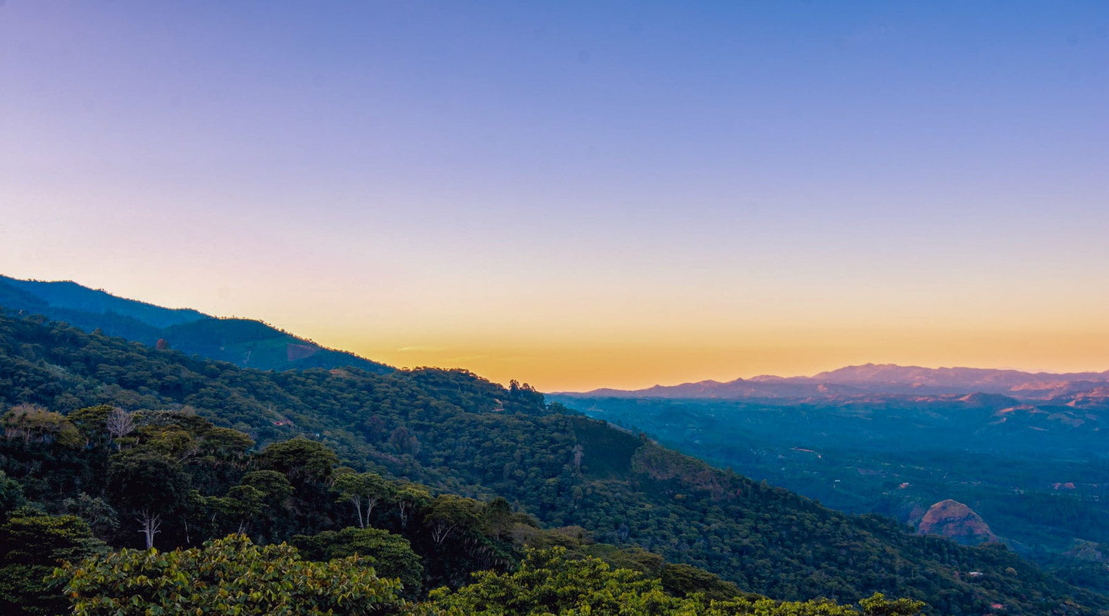 Tres Pinos, Honduras: Santa Lucia Reserve - Loom Coffee Co.