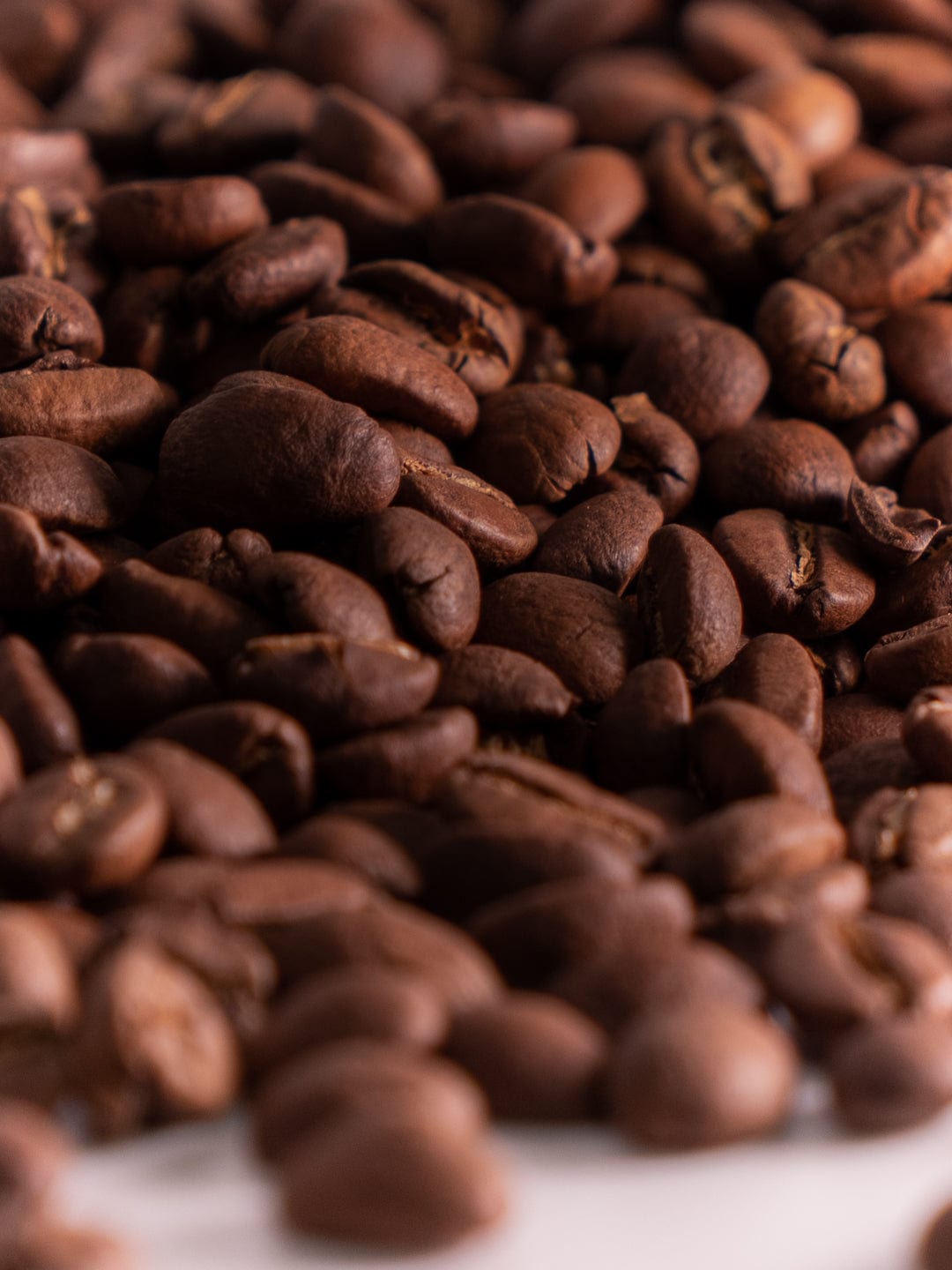 Coffee Business Consultation Loom Coffee Co.