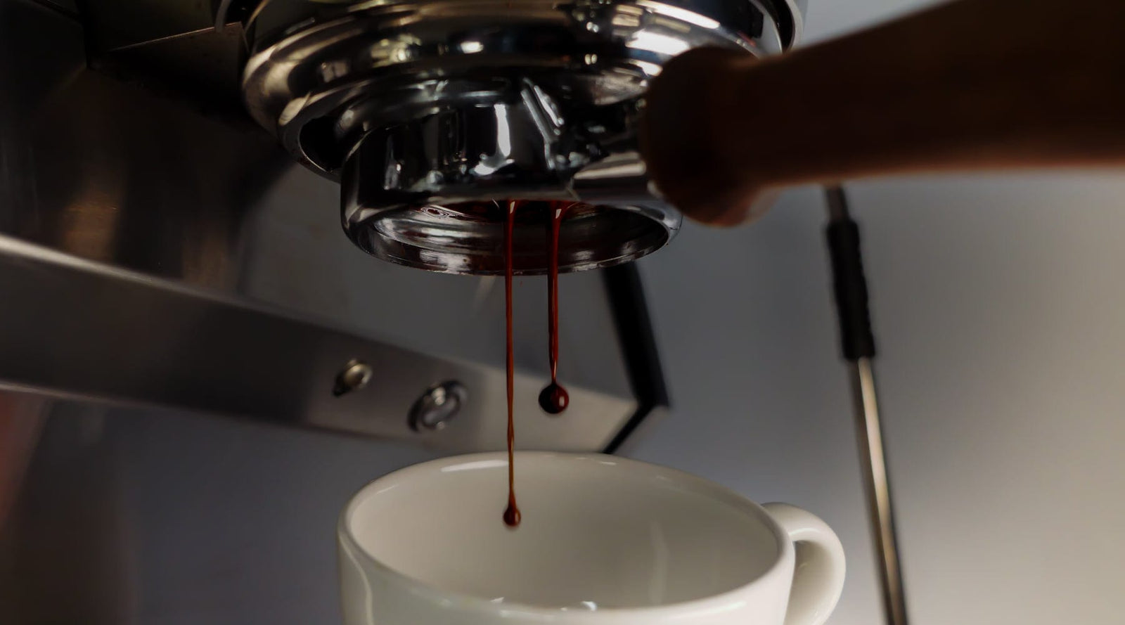 A shot of espresso dripping through a blind portafilter basket on a Slayer V3 espresso machine at the Loom Coffee Co. roasting facility.