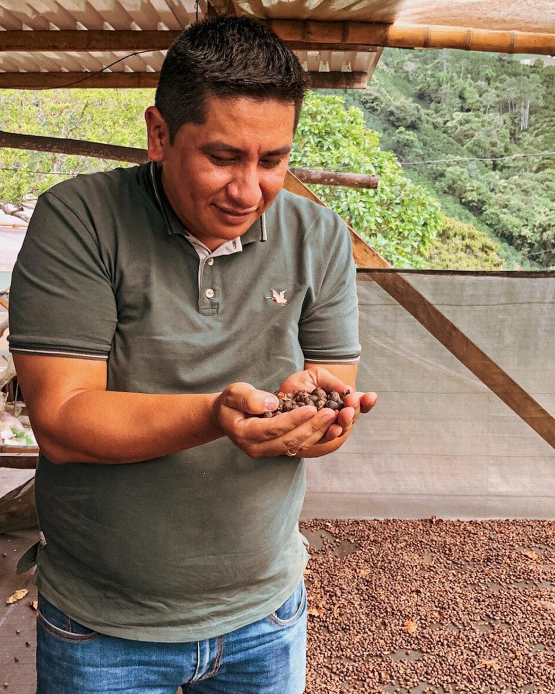 Rodrigo Sánchez Passionfruit Co-ferment - Loom Coffee Co.