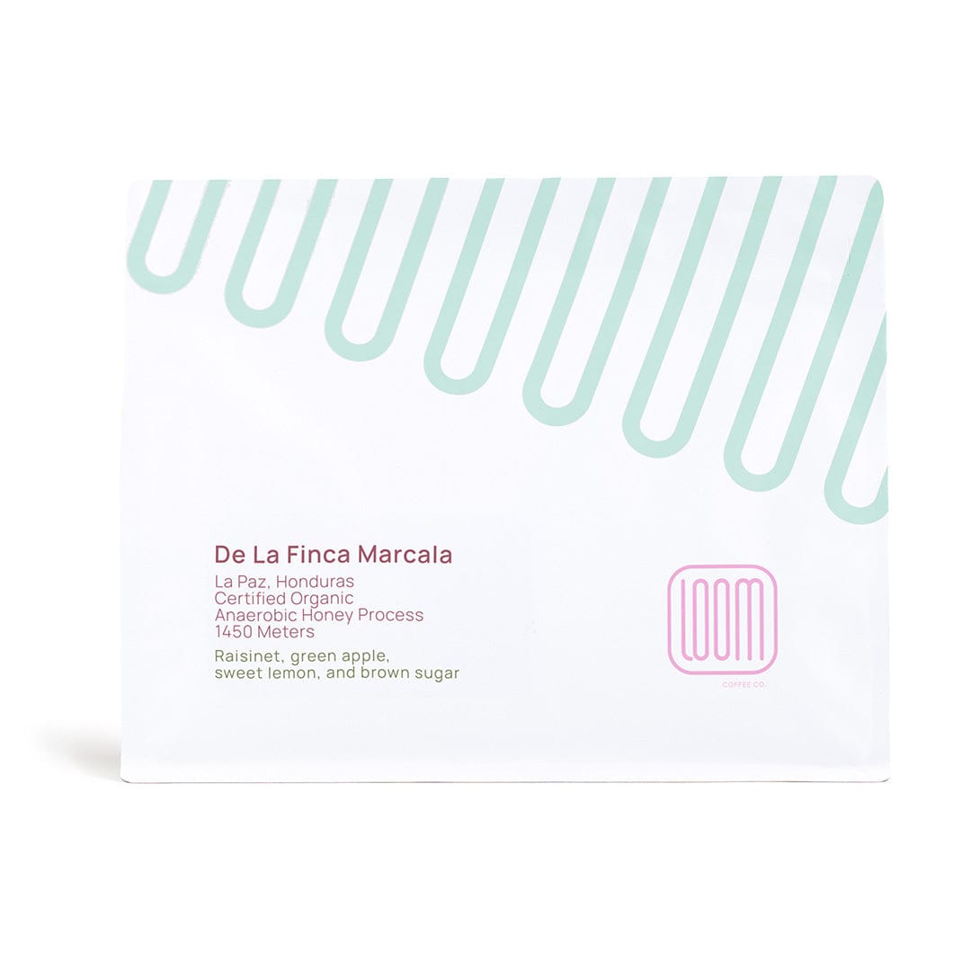 Educate2Envision: Reimagining Rural Education in Honduras