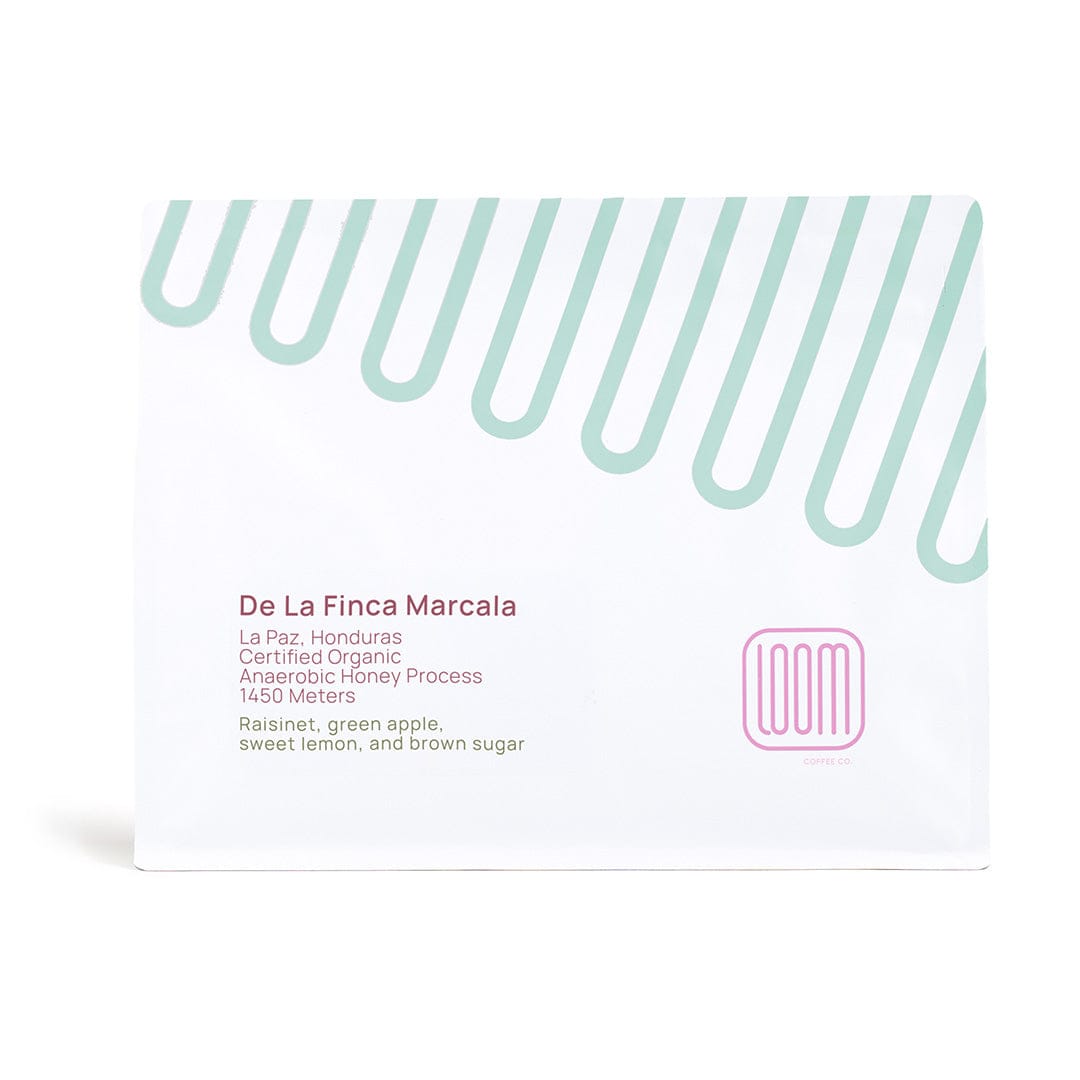 Educate2Envision: Reimagining Rural Education in Honduras