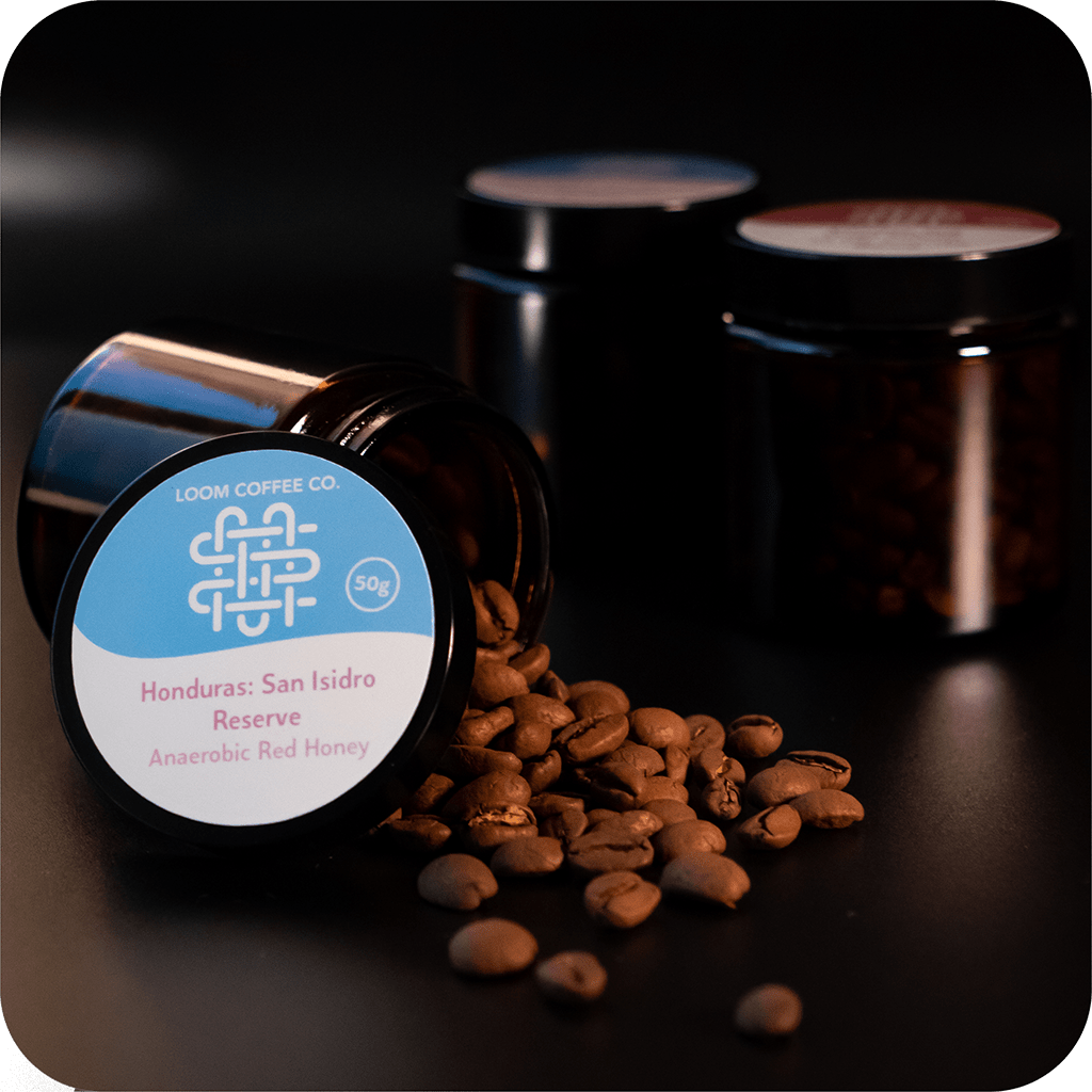 Loom Coffee Co. Coffee 3x 50g Jars Tasting Trio: Experience Anaerobic Processed Coffees